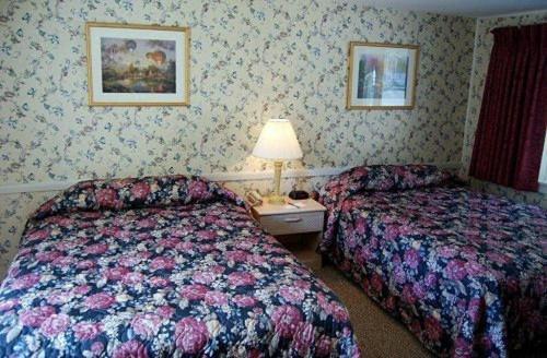 Oxen Yoke Motel North Conway Værelse billede